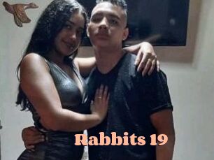 Rabbits_19
