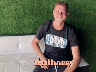redharry Chatte Rasée