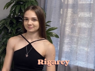 rigarey Chatte Rasée