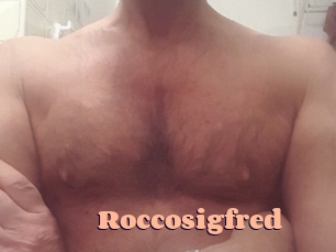 roccosigfred Chatte Rasée