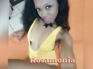 rosamonia Chatte Rasée