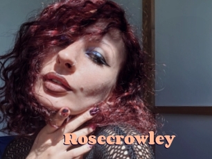 rosecrowley Chatte Rasée