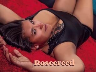 Roseereed