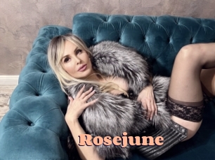 rosejune Chatte Rasée