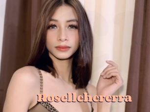 rosellehererra Chatte Rasée