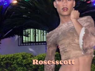 rosesscott Chatte Rasée