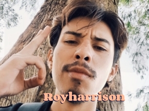 royharrison Chatte Rasée