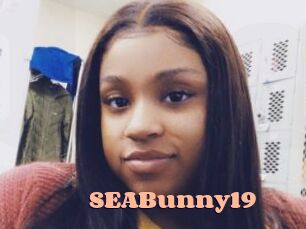 SEABunny19