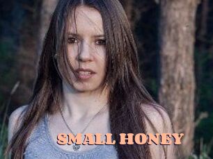 SMALL_HONEY