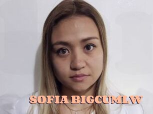 SOFIA_BIGCUMLW