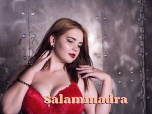 Salammadra Chatte Rasée