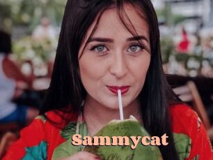 Sammycat