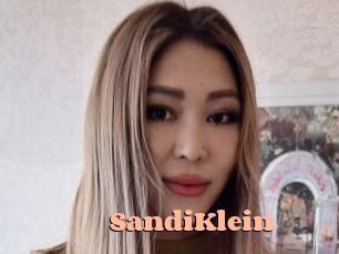 SandiKlein