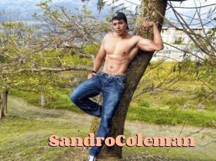SandroColeman Chatte Rasée