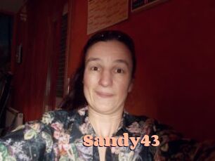 Sandy43