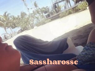 Sassharosse
