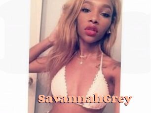 Savannah_Grey