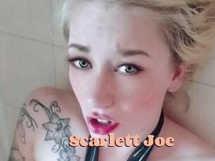 Scarlett_Joe Chatte Rasée