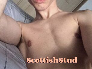 Scottish_Stud Chatte Rasée