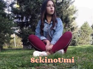 SekinoUmi