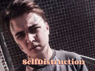 SelfDistruction