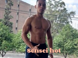 Sensei_hot