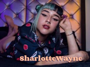 SharlotteWayne Chatte Rasée