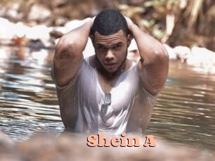 Shein_A