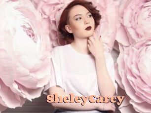 SheleyCarey
