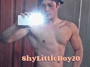 ShyLittleBoy20