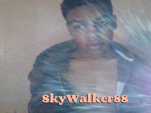 SkyWalker88