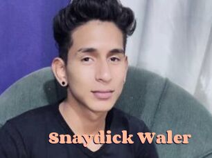 Snaydick_Waler