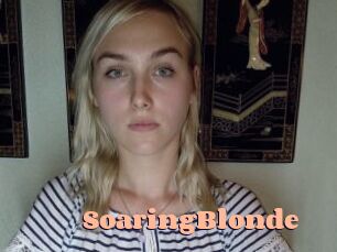 SoaringBlonde