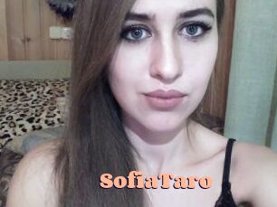 Sofia_Taro Chatte Rasée
