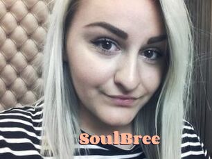 SoulBree Chatte Rasée