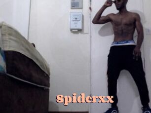 Spiderxx Chatte Rasée
