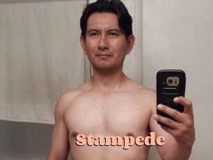 Stampede