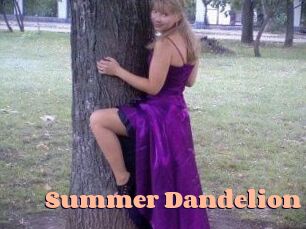 Summer_Dandelion