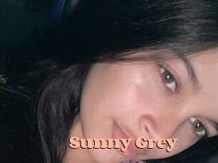 Sunny_Grey Chatte Rasée