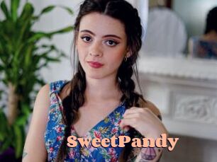SweetPandy Chatte Rasée