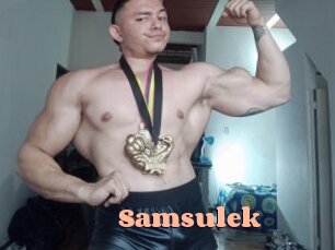 Samsulek