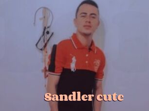 Sandler_cute