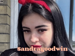 sandragoodwin Chatte Rasée