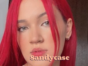 Sandycase