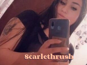 Scarlethrush
