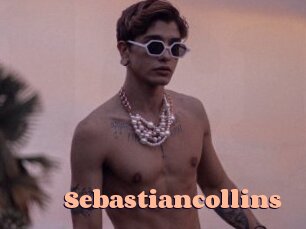 sebastiancollins Chatte Rasée