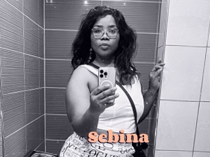 sebina Chatte Rasée
