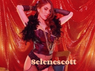 selenescott Chatte Rasée