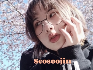 Seosoojin