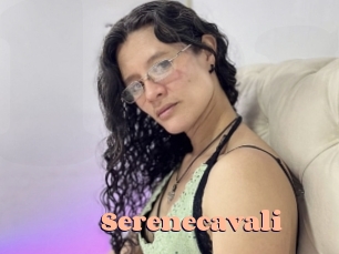 serenecavali Chatte Rasée